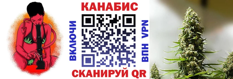 Бошки Шишки планчик  Купить где  Ладушкин 